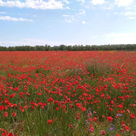 別荘 Monolocale Prezioso